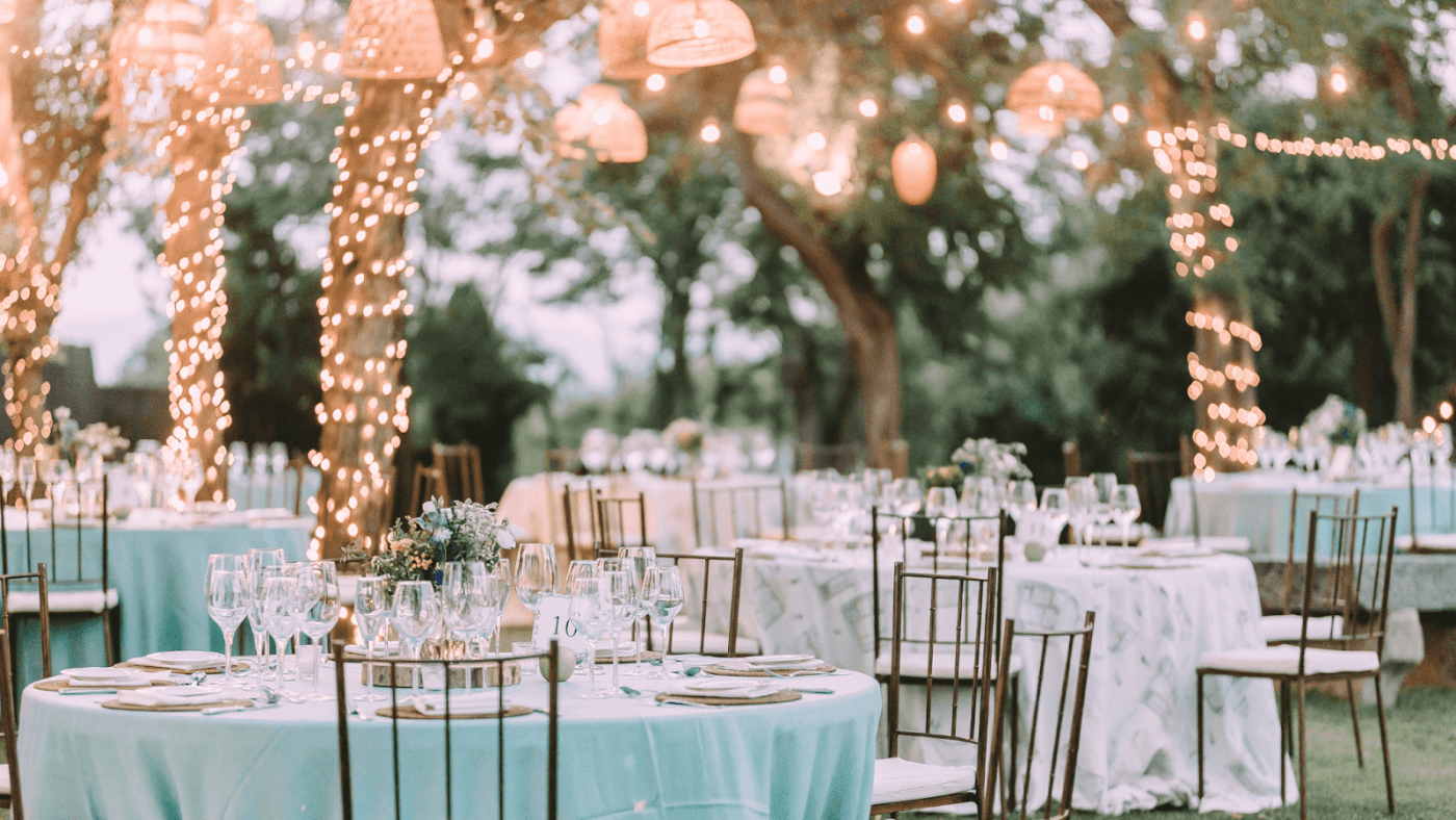 LED Wrapped Around a Tree for outdoor wedding